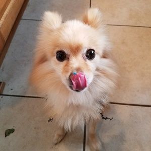 Meet your Posher, Huyen